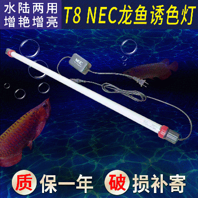 NEC龍魚潛水燈 魚缸防水照明燈金龍紅龍魚專用T8NEC燈管水族燈