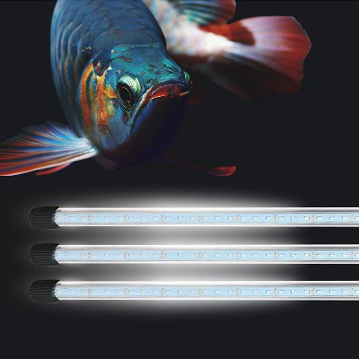 龍魚燈魚缸照明燈水族燈LED魚缸燈